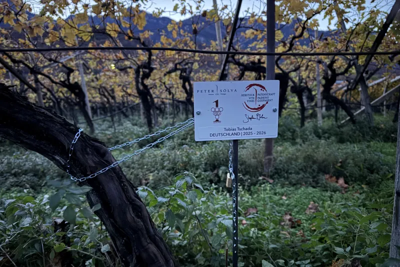 Tobias Tschada Deutschland 2025 -2026