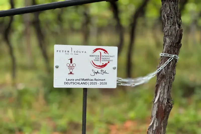 Laura & Matthias Reimert Deutschland Rebstockpate 2025 / 2028