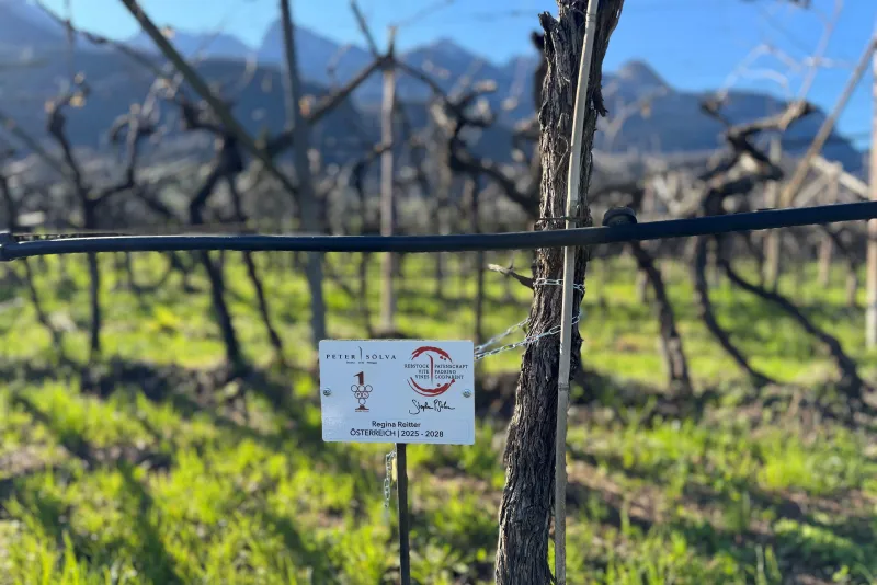 Regina Reitter 2024 - 2028 Österreich