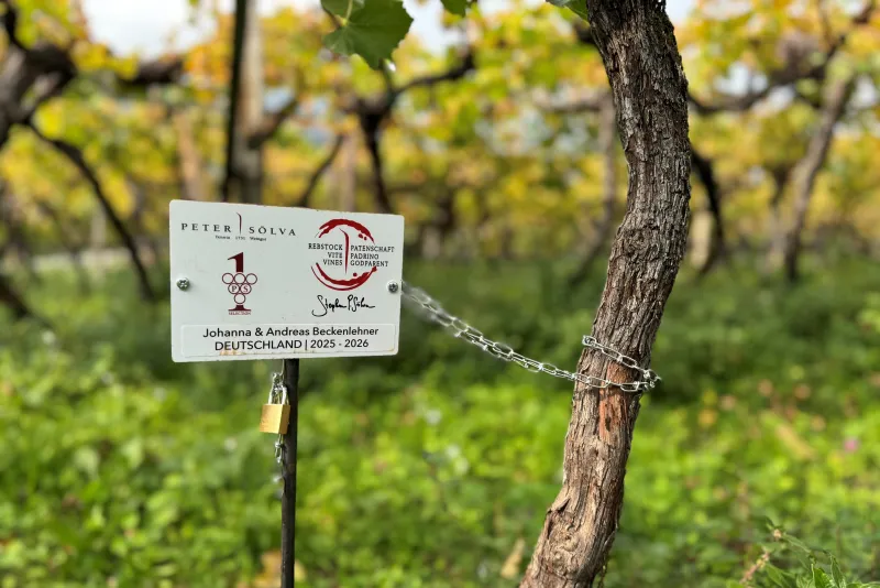 Johann & Andreas Beckenlehner Deutschland 2025 -2026