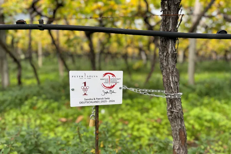 Sandra & Patrick Seitz Deutschland 2025 -2026