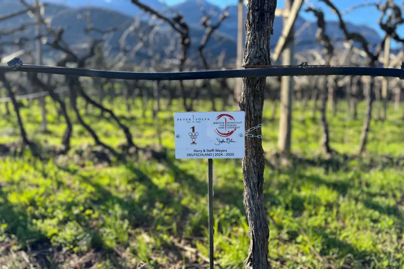 Harry & Steffi Weyers 2024 - 2025 Deutschland