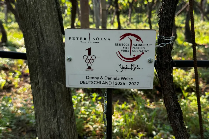 Denny & Daniela Weise Deutschland 2026 -2027