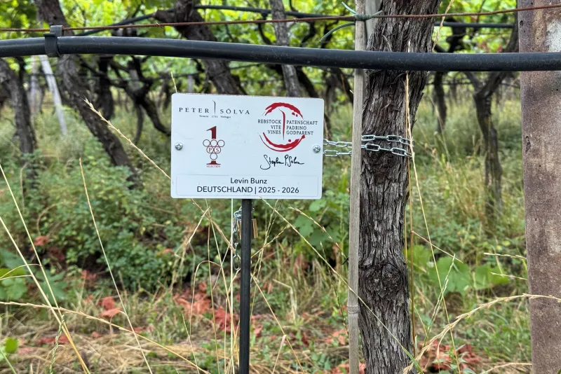 Levin Bunz Deutschland Rebstockpate 2025 / 2026