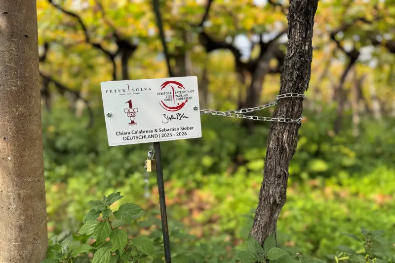 Chiara Calabrese & Sebastian Sieber Deutschland 2025 -2026