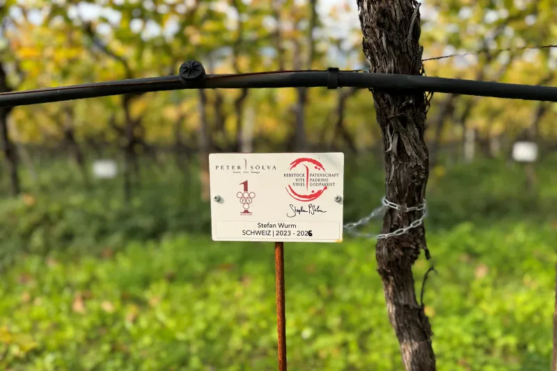 Stefan Wurm Schweiz Verlängerung 2023 - 2026