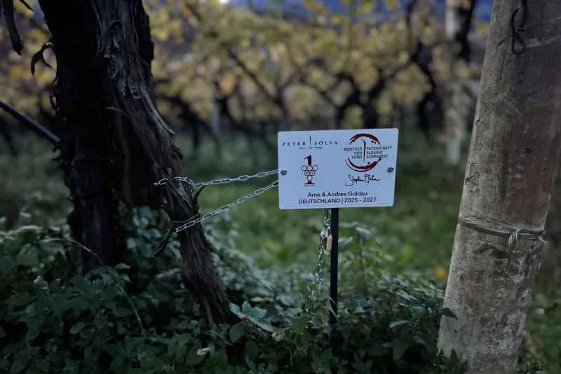 Arne & Andrea Goldau Deutschland 2025 -2026