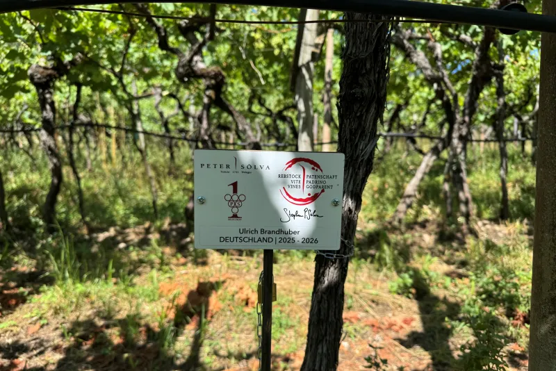 Ulrich Brandhuber Deutschland Rebstockpate 2025 / 2026