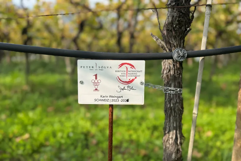 Karin Weingart Schweiz Verlängerung 2025 - 2026