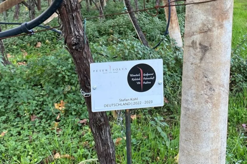 Stefan Kohl 2022 -2023