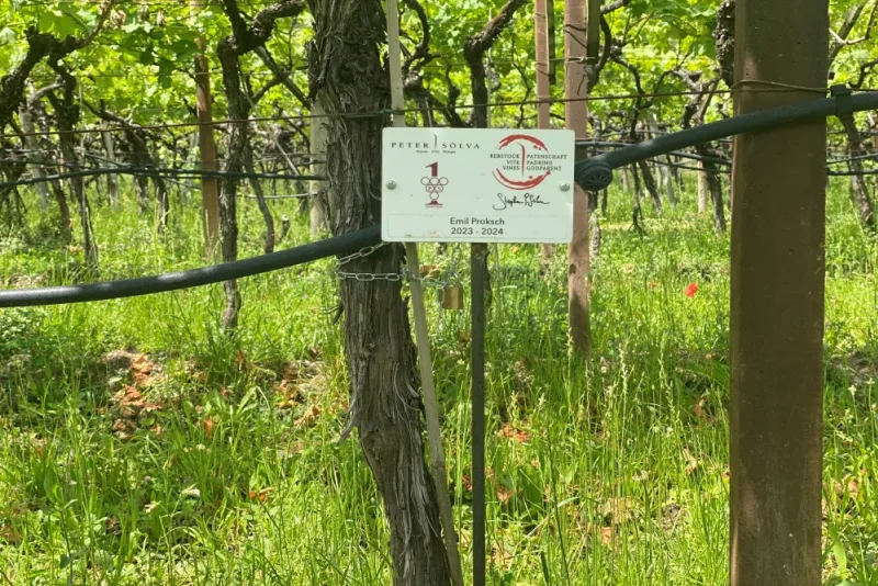 Emil Proksch 2023 - 2024