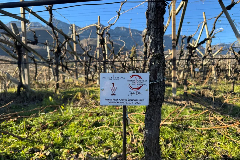 Franka Risch Andrea Sinzinger-Risch Rebstockpate 2025 - 2026