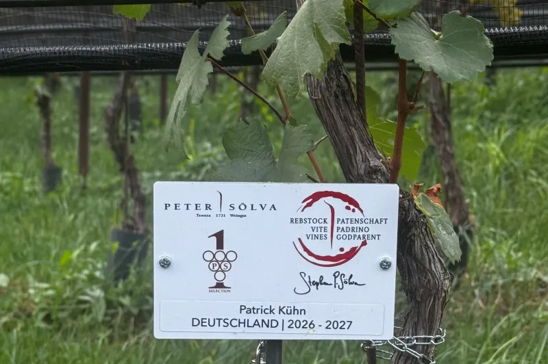 Patrick Kühn Deutschland 2026 -2027